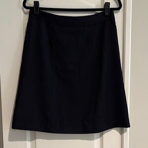 Elegant Black A-Line Women's Skirt